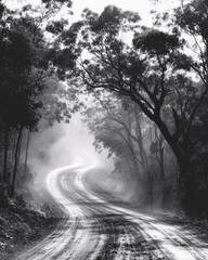 Obraz premium Winding road through a misty forest in black and white with trees and fog creating a moody scene