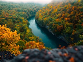Autumn River Valley Aerial View