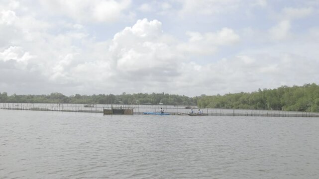 Natural habitats and mangrove ecosystem of Madu Ganga Wetland, showcasing rich biodiversity, mangrove forests, and serene waterways of the lagoon system &ndash; stock footage.