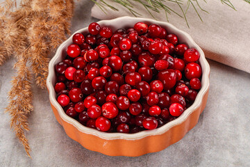 Ripe sweet sour cranberry heap