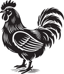 Black Chicken Silhouette Vector, High Quality Illustration on White Background