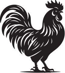 Black Chicken Silhouette Vector, High Quality Illustration on White Background