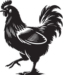 Black Chicken Silhouette Vector, High Quality Illustration on White Background