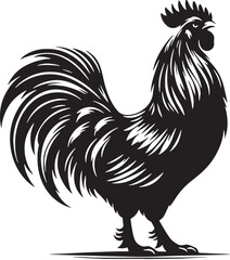 Black Chicken Silhouette Vector, High Quality Illustration on White Background