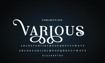 Luxury beauty font alphabet logo. Typography beautiful fashion elegant classic letters serif italic fonts wedding vintage retro casters logos. vector illustration