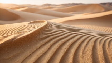 Golden sand dunes in the sunlight create a warm and inviting texture close up.