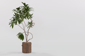 Plant pots in various natural shapes on a white background 3d