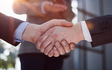 Sealing a deal. Close-up of two business people shaking hands while sitting at the working place