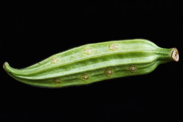 Obraz premium A Single Green Okra Pod Against A Black Background