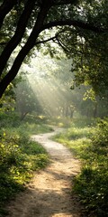 Obraz premium Nature therapy in a lush forest path at golden hour wide shot capturing connection and serenity