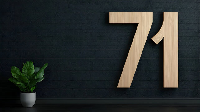 Gourmet food flat lay. Modern wooden number 71 on dark wall with green plant in pot
