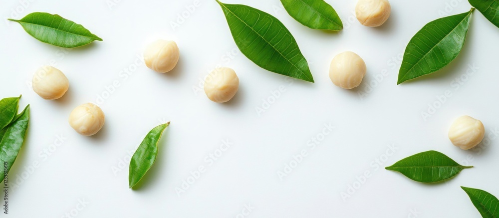 Poster Fresh macadamia nuts and green leaves arranged on a white background with ample copy space for text placement