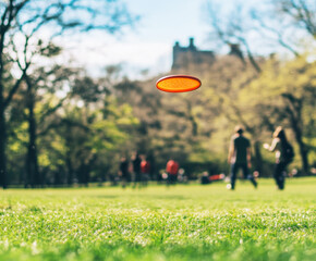 People enjoying a sunny day at the park while playing frisbee on a grassy field in the afternoon
