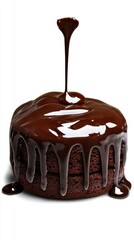 Chocolate cake with rich dark chocolate ganache topping