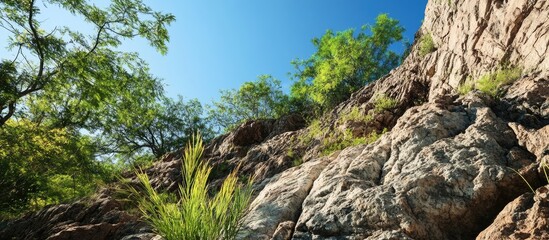 Rocky terrain with vibrant greenery under a clear blue sky Copy Space