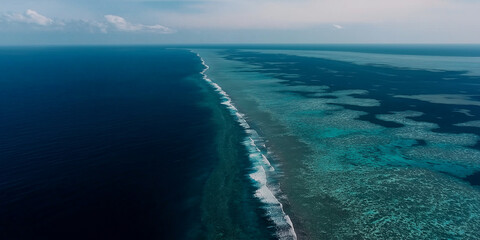 Endless Ocean Horizon and Coral Reef