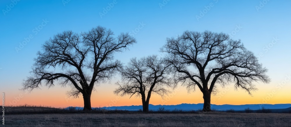 Poster three bare trees silhouetted against a vibrant sunset sky with mountains in the background and clear