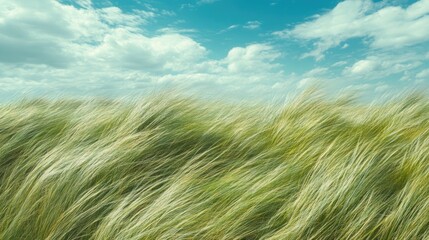 Lush green grass swaying gently in the wind beneath a vibrant blue sky with soft clouds and ample space for text placement.