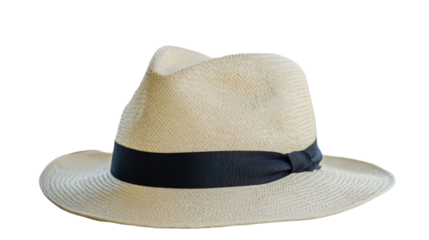 Elegant Panama Hat with a Classic Black Ribbon: A Stylish Accessory for Summer Adventures