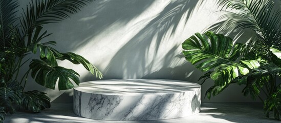 White marble podium with tropical leaves casting shadows and a spacious backdrop perfect for text or branding elements