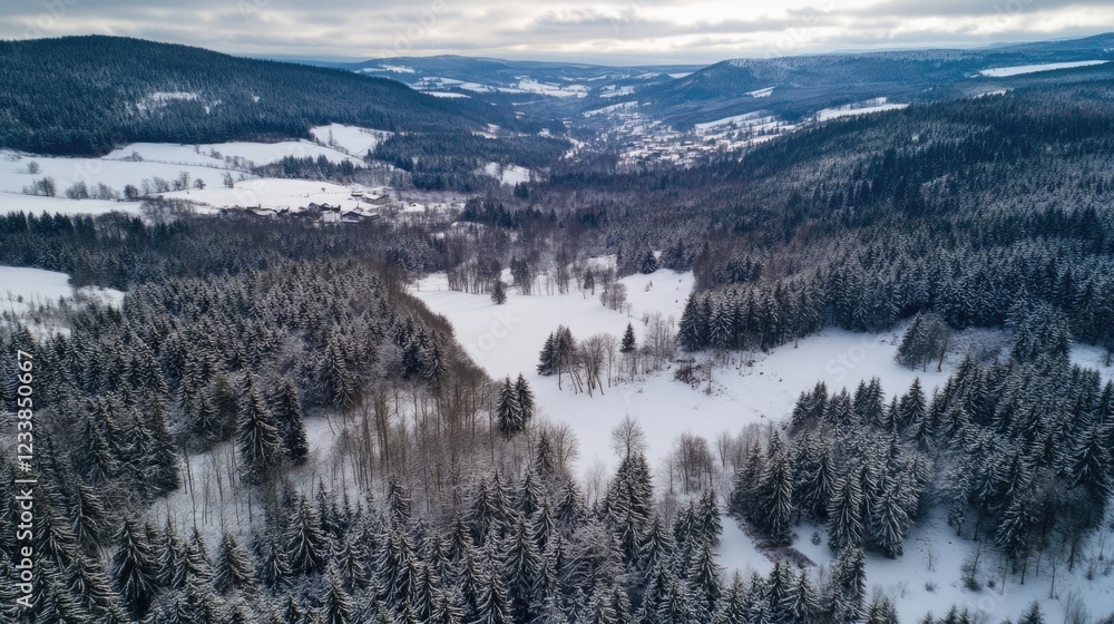 Poster winter landscape in black forest with snow-covered trees and open space for text or graphics inclusi