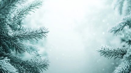 Fototapeta premium Wintery Christmas Background Featuring Snow-Covered Tree Branches with Ample Copy Space for Text and Seasonal Messages
