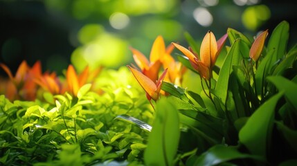 Obraz premium Carnivorous Plant Standing Out Amid Lush Green Foliage in a Bright Natural Setting