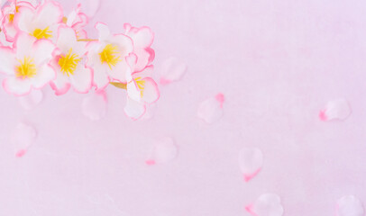 春の息吹 - 桜の花と淡いピンクの背景