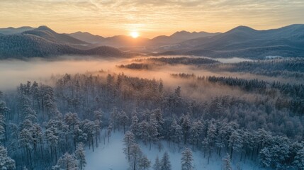 Fototapeta premium Winter Mountain Landscape at Sunrise with Snow-Covered Trees and Misty Forest Offering Space for Text or Overlays