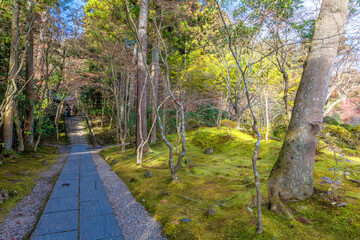 晩秋の円通院(宮城県宮城郡松島町)