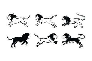African Lion (Panthera leo) mammal animal, labeled line art vector art illustration.
