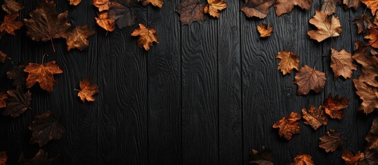 Autumn leaves on dark wooden background with large copy space in the center