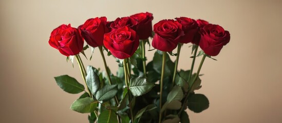 Obraz premium Bouquet of Red Roses with Green Leaves on Neutral Background