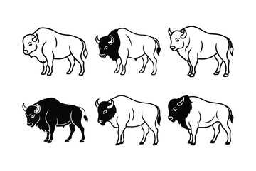 American Bison (Bison bison) animal design, labeled line art vector art illustration.