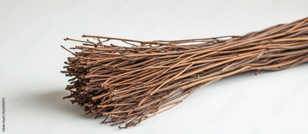 Poster bundle of thin dried tree branches on a white background with copy space.