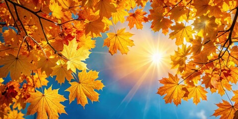 Golden sunlight filtering through a dense canopy of vibrant maple leaves in autumn colors against a blue sky background