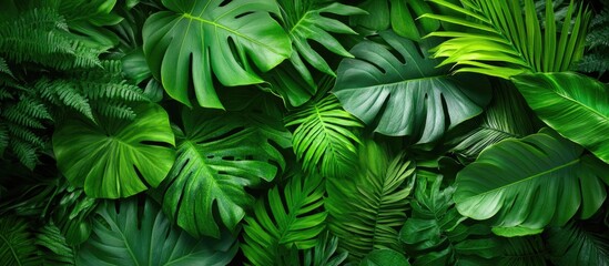 Tropical green leaves background texture with various shapes and shades of foliage ideal for nature designs and themes Copy Space