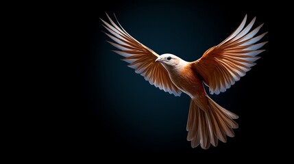 Obraz premium Soaring Serenity: An artful representation of a bird in flight against a deep, calming backdrop. The image captures a sense of freedom and peace.