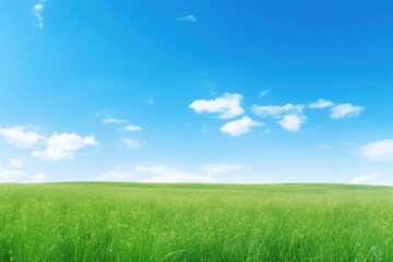 Fototapeta premium Clear lawn sky backgrounds landscape.