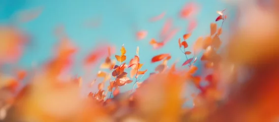 Fleecedeken met foto Abstract autumn leaves with motion blur against blue sky background with copy space. © CreativeBro