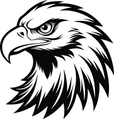 eagle vector illustration
