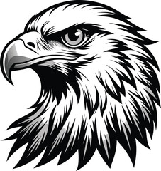 Obraz premium eagle vector illustration
