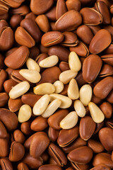 close up of roasted pine nuts background 