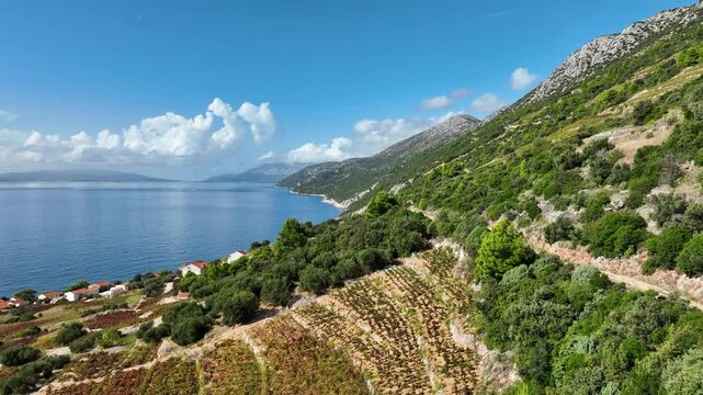 Mountains and coastline in the Peljesac peninsula on a sunny summer day. Drone.