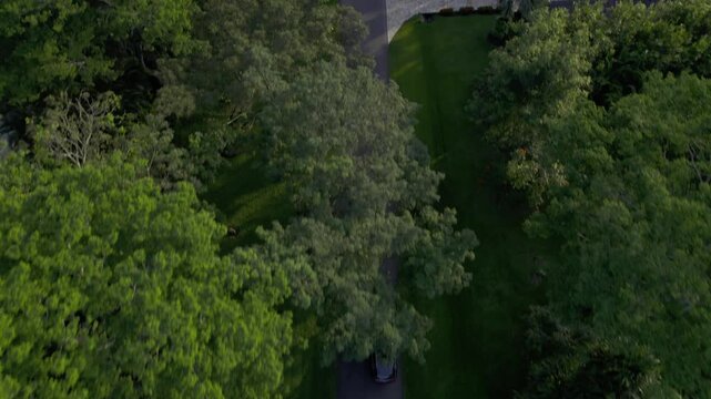 Carro en medio de la naturaleza revelando un paisaje de arboles.