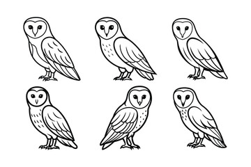 Barn Owl (Tyto alba) animal design, labeled line art vector art illustration.
