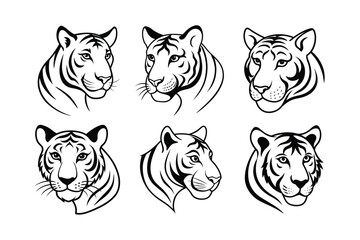 Bengal Tiger (Panthera tigris tigris) animal design, labeled line art vector art illustration.