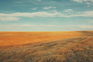 Fototapeta premium A minimal-large grassland landscape outdoors horizon.