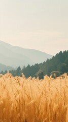 Summer wallpaper mountain outdoors nature.