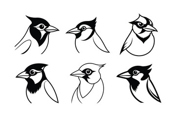 Obraz premium Blue Jay (Cyanocitta cristata) animal design, labeled line art vector art illustration.